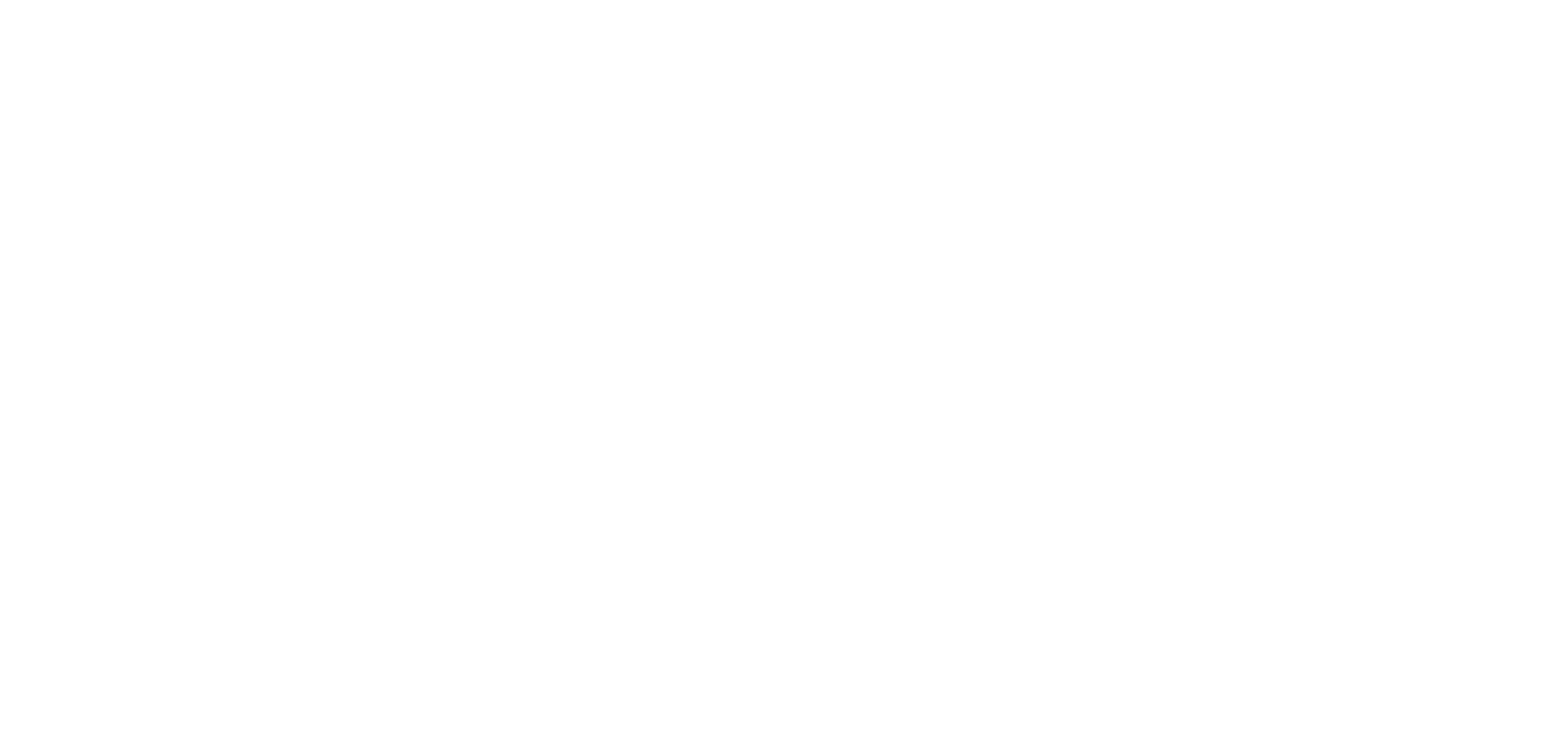 Techion Logo White 13